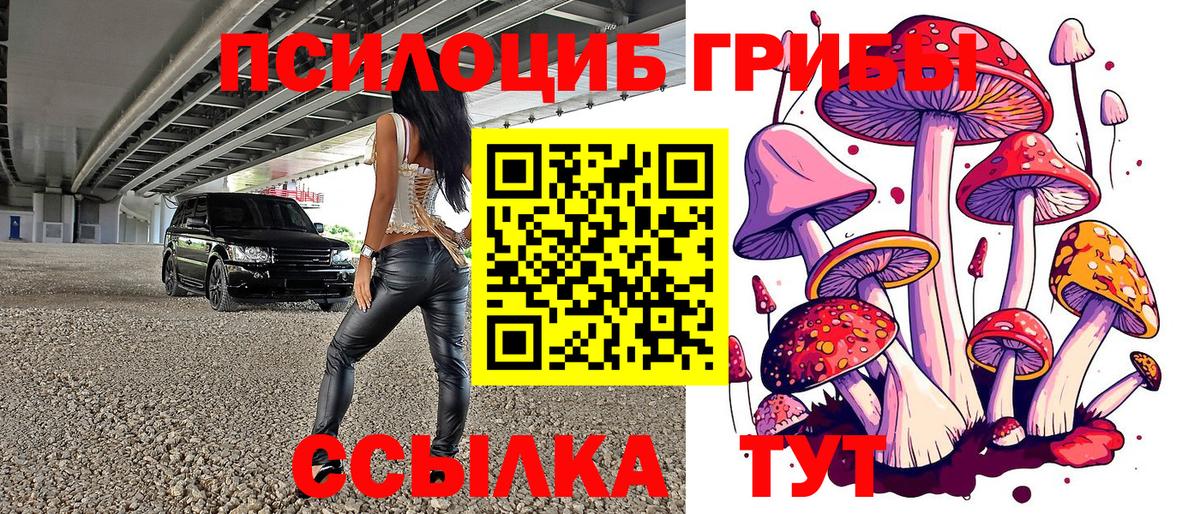 Псилоцибиновые грибы Cubensis  Вход с VPN  Чернушка  Псилоцибиновые грибы Cubensis 