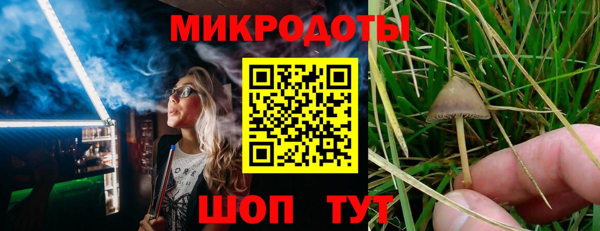 Галлюциногенные грибы GOLDEN TEACHER Чернушка