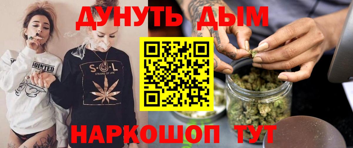 Канабис SATIVA & INDICA  Бошки марихуана THC 21%  Чернушка  Канабис план  Вход с VPN 